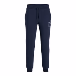 Pantalon Jack & Jones Jpstgordon