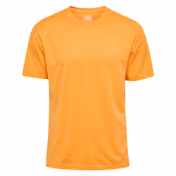 Maillot Hummel Active PL