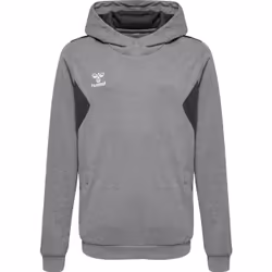Sweatshirt à capuche polyester enfant Hummel Authentic