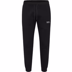 Pantalon de survêtement Hummel Tech Fleece Regular