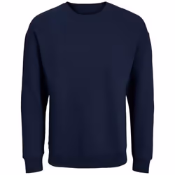 Sweatshirt col rond grande taille Jack & Jones Jjebradley