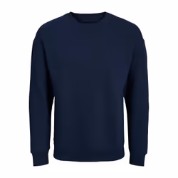 Sweatshirt col rond grande taille Jack & Jones Jjebradley