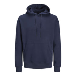 Sweatshirt à capuche grande taille Jack & Jones Jjebradley