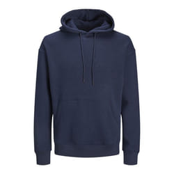 Sweatshirt à capuche grande taille Jack & Jones Jjebradley