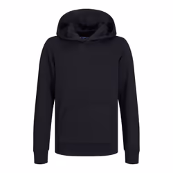 Sweatshirt à capuche enfant Jack & Jones Bradley