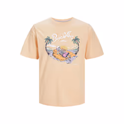 T-shirt col rond enfant Jack & Jones Zion