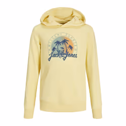 Sweatshirt à capuche enfant Jack & Jones Summer SMU Vibe - 16 ans