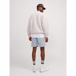 Jack & Jones 12258919_148.60 short