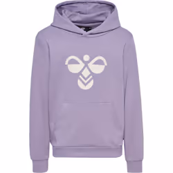 Sweatshirt à capuche enfant Hummel Cuatro