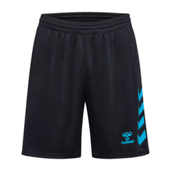 Short Hummel Graphic Universe