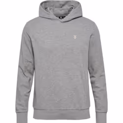 Sweatshirt à capuche Hummel Pulse