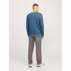 Jack&Jones Pull Globe 12258139 Bleu Regular Fit