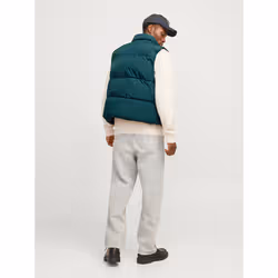 Jack & Jones 12256981_9486.60 blouson et veste