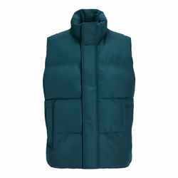 Jack & Jones 12256981_9486.60 blouson et veste