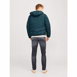 Jack & Jones 12256983_9486.65 blouson et veste