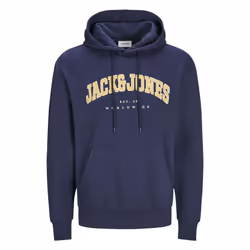 Sweatshirt à capuche Jack & Jones Ecaleb Varsity Pls