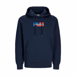 Sweatshirt à capuche graphic Jack & Jones Ecorp