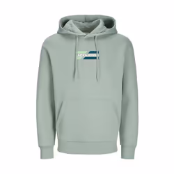 Sweatshirt à capuche graphic Jack & Jones Ecorp