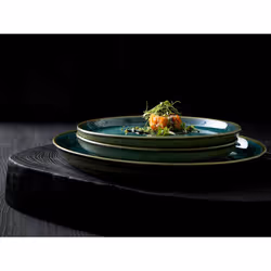 BITZ 821252 assiette Assiette de dîner Rond Grès Vert