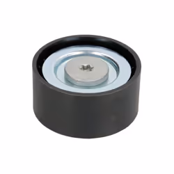 Galet enrouleur de courroie d'accessoire BTA E2M0023BTA