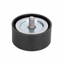 Galet enrouleur de courroie d'accessoire BTA E2M0023BTA