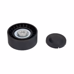 Galet enrouleur de courroie d'accessoire BTA E2B0067BTA