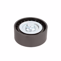 Galet enrouleur de courroie d'accessoire BTA E2X0019BTA