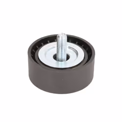 Galet enrouleur de courroie d'accessoire BTA E2X0019BTA