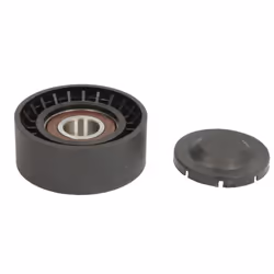 Galet enrouleur de courroie d'accessoire BTA E2W0061BTA
