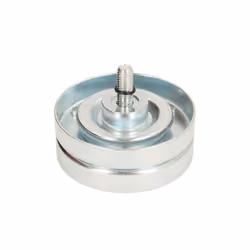 Galet enrouleur de courroie d'accessoire BTA E2W0066BTA