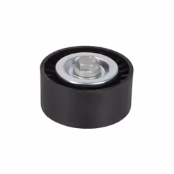 Galet enrouleur de courroie d'accessoire BTA E2X0016BTA