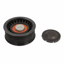 Galet enrouleur de courroie d'accessoire BTA E2W0048BTA