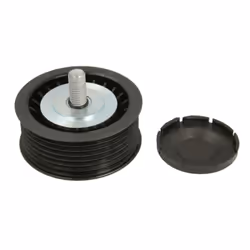 Galet enrouleur de courroie d'accessoire BTA E2W0048BTA