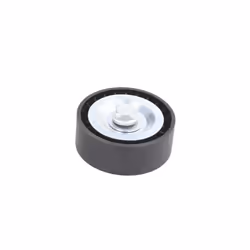 Galet enrouleur de courroie d'accessoire BTA E2G0039BTA