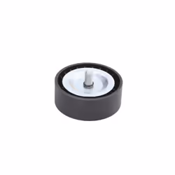 Galet enrouleur de courroie d'accessoire BTA E2G0039BTA