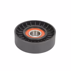 Galet enrouleur de courroie d'accessoire BTA E2W0045BTA