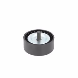 Galet enrouleur de courroie d'accessoire BTA E2M0056BTA