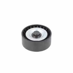 Galet enrouleur de courroie d'accessoire BTA E2M0056BTA