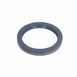 Bague d'étanchéité BTA B06-2060