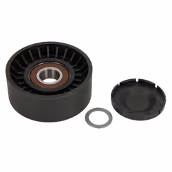 Galet enrouleur de courroie d'accessoire BTA E2W0033BTA