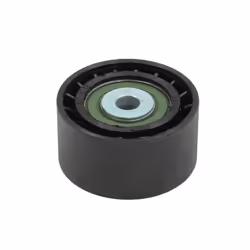 Galet enrouleur de courroie d'accessoire BTA E2R0003BTA