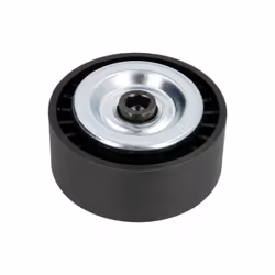 Galet enrouleur de courroie d'accessoire BTA E2X0003BTA
