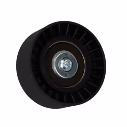 Galet enrouleur de courroie d'accessoire BTA E2G0002BTA