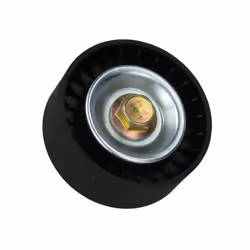 Galet enrouleur de courroie d'accessoire BTA E2G0003BTA