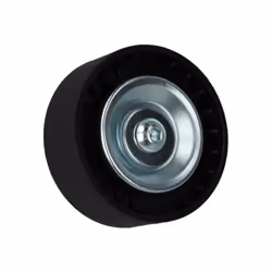 Galet enrouleur de courroie d'accessoire BTA E2G0005BTA