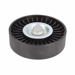 Galet enrouleur de courroie d'accessoire BTA E20319BTA