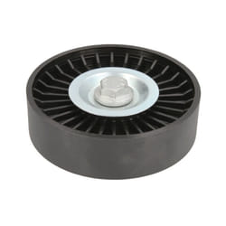 Galet enrouleur de courroie d'accessoire BTA E20319BTA