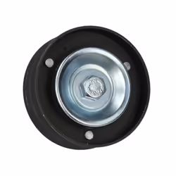 Galet enrouleur de courroie d'accessoire BTA E23013BTA