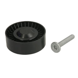 Galet enrouleur de courroie d'accessoire BTA E2B0004BTA