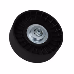 Galet enrouleur de courroie d'accessoire BTA E2B0005BTA